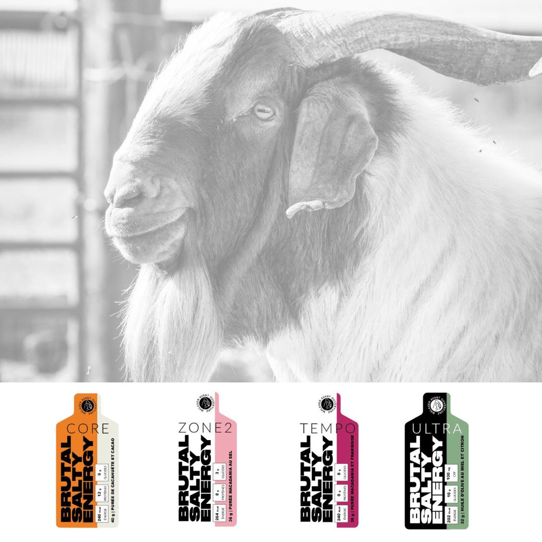 La gamme BSE : choisir son fuel selon son effort, du quotidien à l'ultra-endurance